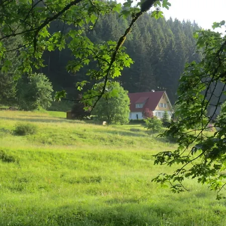 Apartman Tauchert Schonmunzach