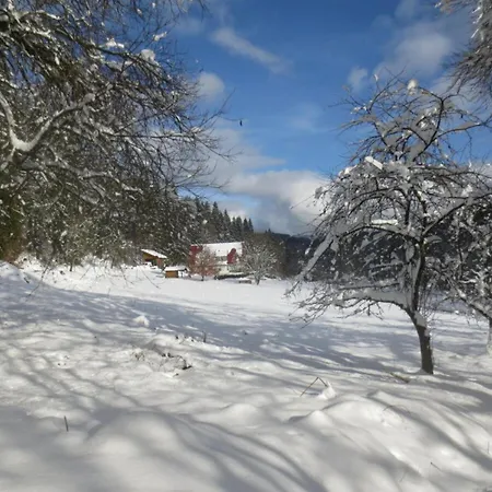 Tauchert Apartman Schonmunzach
