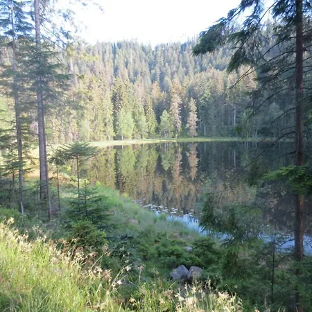 Tauchert Apartman Schonmunzach