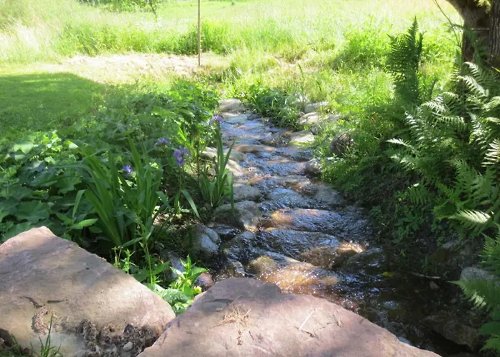 Tauchert Апартаменты *