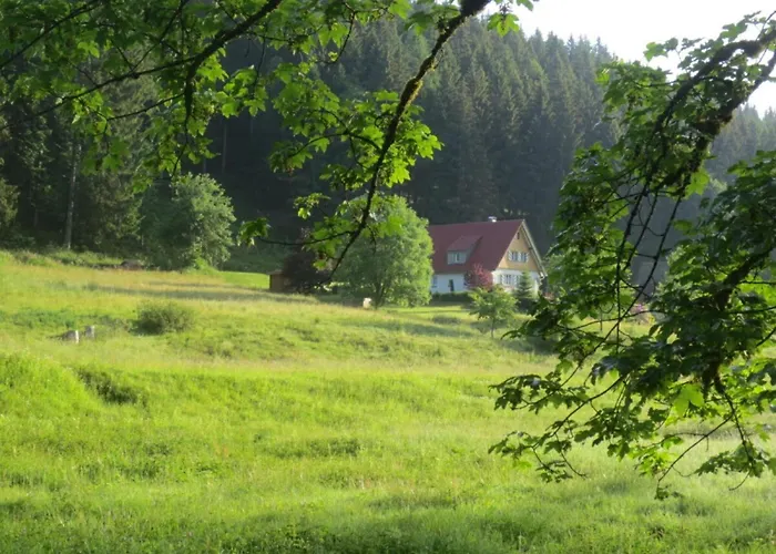 Апартаменты Tauchert Schonmunzach