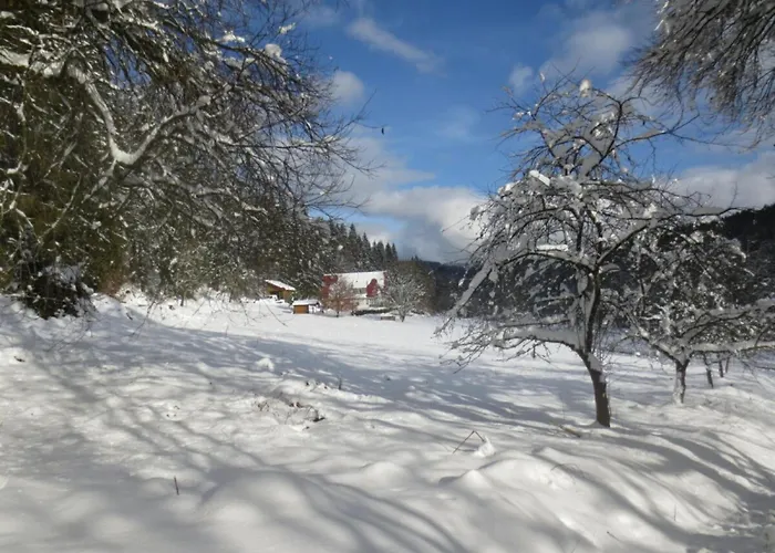 Tauchert Апартаменты Schonmunzach