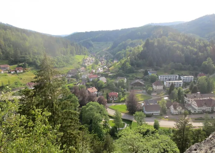 Tauchert * Schonmunzach