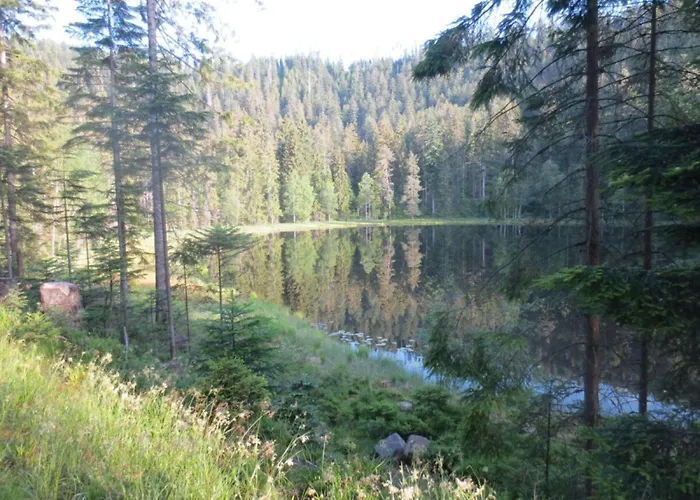 Tauchert Апартаменты Schonmunzach